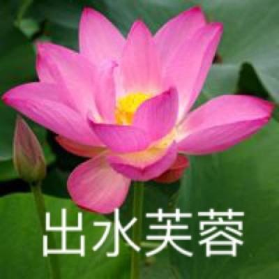 权力的总和官方版下载