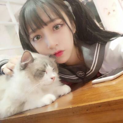 185金牛合击传奇手机版(暂未上线)v1.85 安卓最新版